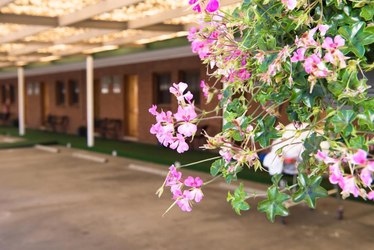 Elm Court Motel Albury Eksteriør bilde